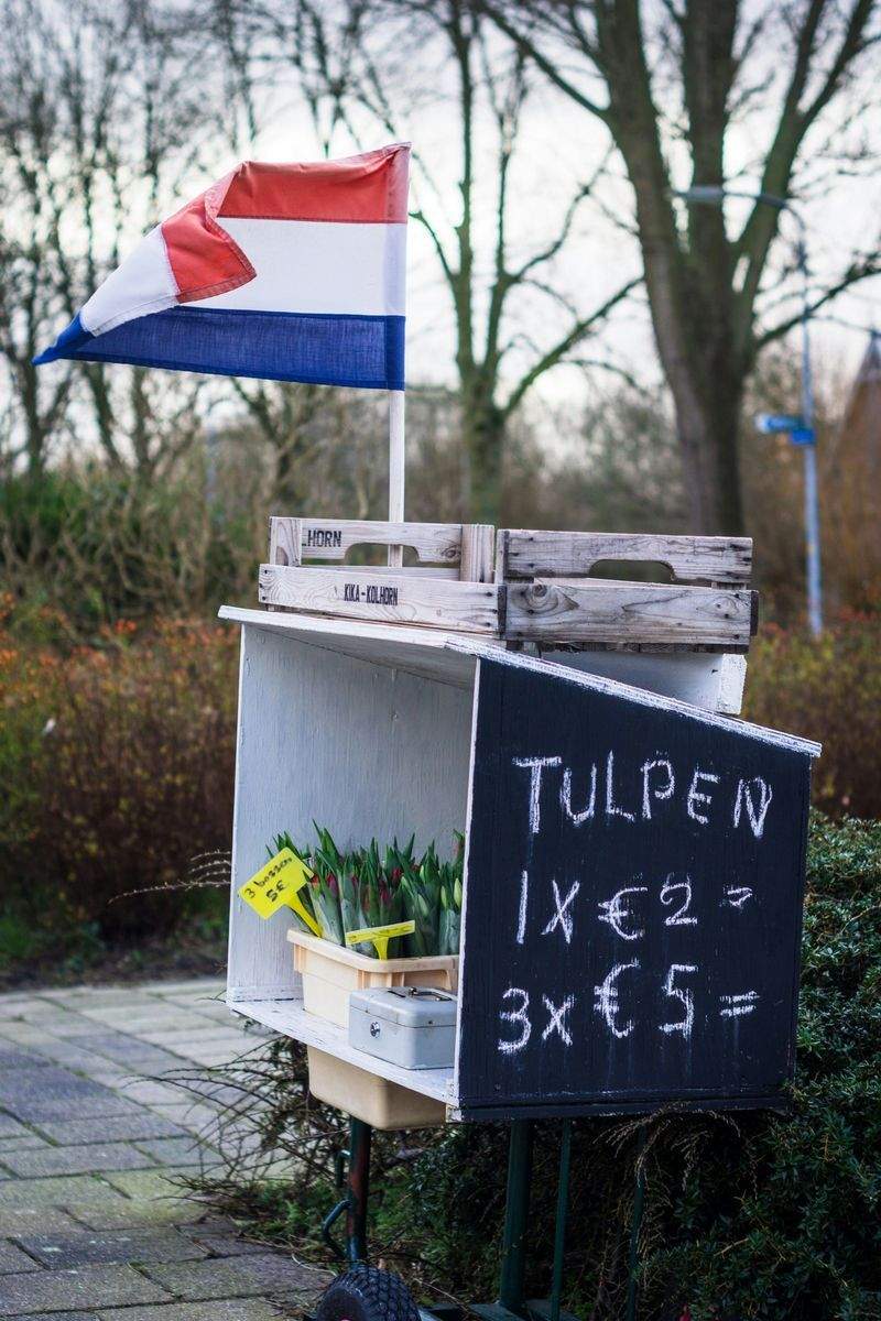 Nordic Salg ApS - Image 11