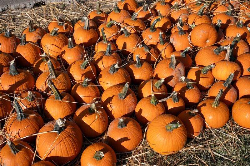 Nordic Salg ApS - Image 12